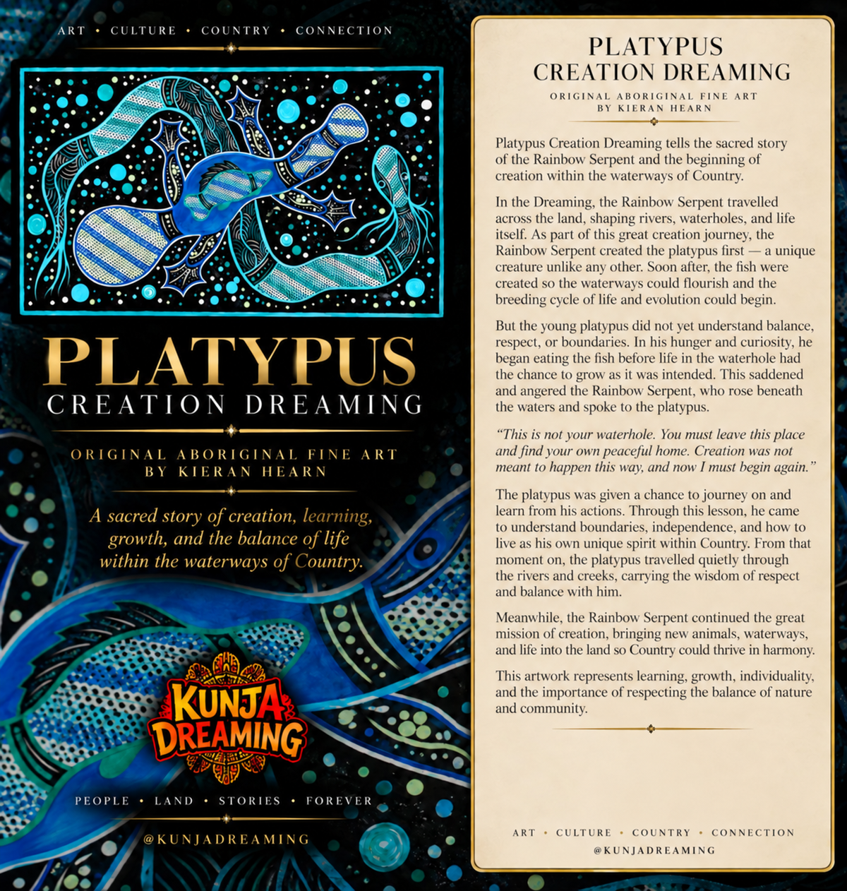 Platypus Creation Dreaming – Original Indigenous Fine Art on Fabric